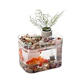 Zstar Aquarium Komplett Set, Aquaristik Kleines Transparentes Aquarium mit...