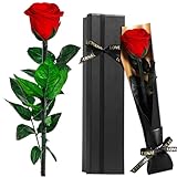 Touloube Ewige Infinity Rosen Geschenk zum Valentinstag für Sie, Rot Rose...