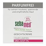 Sebamed Trockene Haut Gesichtscreme Parfumfrei Urea Akut 5%, lindert...