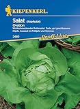 Kiepenkerl Profi-Line Kopfsalatsamen Ovation 2460 – Buttersalat, gut...