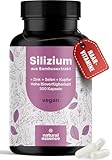 Silizium Komplex - 300 Kapseln mit 500mg Silicium mit Zink, Kupfer und...