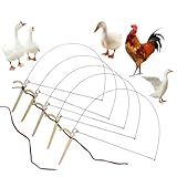 Vogelbeinfalle, professionelle Vogel-Tauben-Beinfalle,...