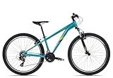 Axess Stipe 26 Mountainbike | MTB-Hardtail | 26 Zoll Jugendfahrrad |...