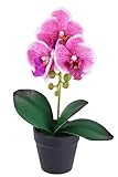 Künstliche Orchidee Phalaenopsis im Topf 30cm Real Touch Blüten...