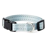 Amazon Basics Hundehalsband, Polyester, Größe S, Cyan