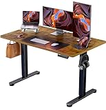 ErGear Elektrisch Höhenverstellbarer Schreibtisch 120 x 60 cm,...