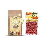 Terra Canis Wild, Gemüse, Obst & Kokosmehl - Canireo Trockenfutter, 2,5kg...