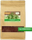 1 kg frische Kresse Samen - Gartenkresse - Microgreens für die Küche im...
