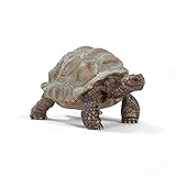 schleich WILD LIFE | Riesenschildkröte 14824 | detailgetreue Tierfiguren |...