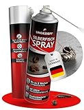 UNGEZIEFIX Silberfisch Spray [NEU! MIT FUGENAUFSATZ] Effektiv Silberfische...