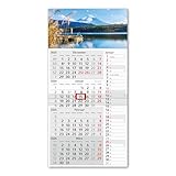 Timr 4-Monatskalender Streifenkalender 2026 - Wandkalender 4 Monate mit...