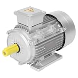 230/400V 3KW Elektromotor MS100L2-4 Metall Asynchronmotor, 1435 U/min...