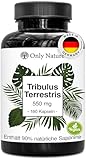 Tribulus Terrestris Kapseln – 180 Kapseln mit 550 mg – Hochdosiert mit...