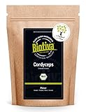 Cordyceps Pulver Bio 125g - 100% Bio - Kernkeulen - Schlauchpilz -...