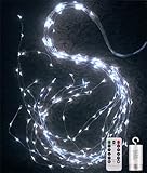 Joysing Lichterschweif 1M 100 LED Lichterbündel Batteriebetrieben mit...