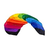 Wolkenstürmer® Paraflex Basic 2-Leiner Lenkmatte 1.2 Rainbow - Kite...