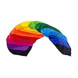 Wolkenstürmer® Paraflex Basic 2-Leiner Lenkmatte 2.1 (Regenbogen) -...
