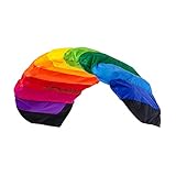 Wolkenstürmer® Paraflex Basic 2-Leiner Lenkmatte 1.2 Rainbow - Kite...