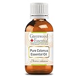 Greenwood Essential Reines Kalmus Essentiell Öl (Acorus calamus)...