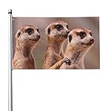 Flagge 3x5 Ft - Fahne Drei braune Erdmännchen - Flaggen Lustig 90x150 -...