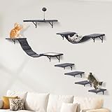Katzen kletterwand Set mit Katzenbaum Hängematte,Katzentreppe...