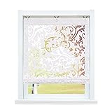 SCHOAL Raffrollo ohne Bohren Raffgardinen Ausbrenner Gardinen Transparent...