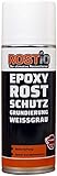 Rostio Epoxy Grundierung 1 K | EP Rostschutzgrundierung Spray |...