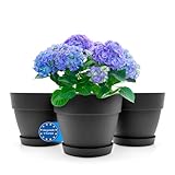 BigDean 3 Stück Blumentopf mit Untersetzer rund ø30 cm in Anthrazit –...