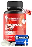 Pinienrindenextrakt - 750mg für 180 Tage - PREMIUM: mit L-Arginin &...