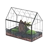 NCYP 24x14x20,6cm Glas Terrarium mit Frontöffnung, Geometrisches...