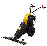 Texas Profi Benzin Balkenmäher CB8700 159ccm Wiesenmäher Hochgrasmäher...