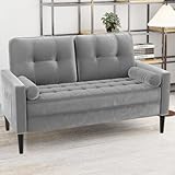 Aotumm Ciort 2 Sitzer Sofa, Kleine Sofa, Samt Couch Sofa mit 2 Kissen und...