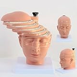 Human Brain Cross-section Model, CT, MRI Brain Mould, Imaging Teaching,...