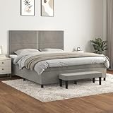 Qnhdfrt Boxspringbett mit Matratze 180x200 cm Samt Hellgrau...