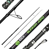 Zeck Blinker Jörg Spin 270cm 30-180g Wallerrute Waller Spinnrute