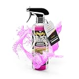 ShinyChiefs Rust Remover - Hochwirksames Flugrostentferner Auto Spray mit...