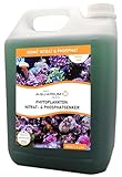 Mein Aquariumprofi Phytoplankton Nitrat- & Phosphatsenker, Plankton