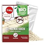 Plantura SF-Nematoden gegen Ameisen – 100% biologisch & hochwirksam,...
