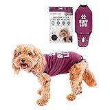 BellyGuard Hundebody Nach Op Hündin, Op Body Hund Kastration Rüde,...