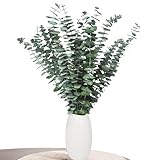 Aufisi Eukalyptus Deko - 22 Stück Getrockneter Eukalyptus (43cm+),...