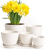 Utopia Home 5er-Pack Blumentopf 18/17/15/13/12 cm Übertopf mit Untertasse...