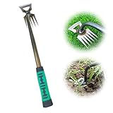 Topbashgo Gartenarbeit Hand Unkrautstecher, Fugenkratzer Unkraut,...