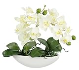 Künstliche Orchidee in Schale 27cm Kunstblume Blume Kunstorchidee...