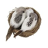 KONTONTY 1 Stück Simuliertes Vogelnest -Set Realistisch Eiernest Vogelnest...