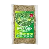 Greenyp Super Rasen I sattgrüner Premium Zierrasen Nachsaat I Traumrasen...