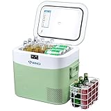 BINGI Kompressor Kühlbox 22L Tragbarer Auto-Kühlschrank 12/24V DC und...