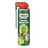 Substral Celaflor Wespen Schaum und Gel Spray, gegen Wespe und Wespennest,...