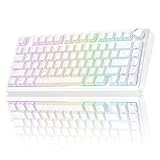 AULA F75 PRO Mechanische Tastatur Gaming,2.4GHz/Type-C/BT5.0 Mechanical...