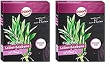 intact Florimel Salbei-Bonbons mit Vitamin C (40g) • Wohltuend für Hals...