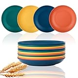 Lazycorner Speiseteller, unzerbrechlich, Weizenstrohteller, Kinderteller,...